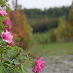 Le Magnolie Ozzano Monferrato