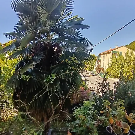 Le Magnolie Appartement