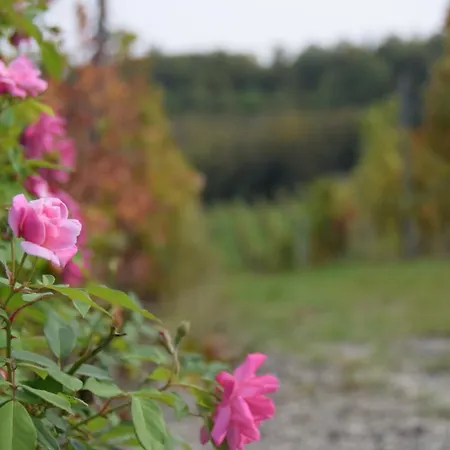Le Magnolie Ozzano Monferrato