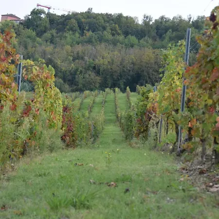 شقة Le Magnolie Ozzano Monferrato