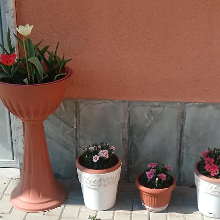 Apartment Le Magnolie *