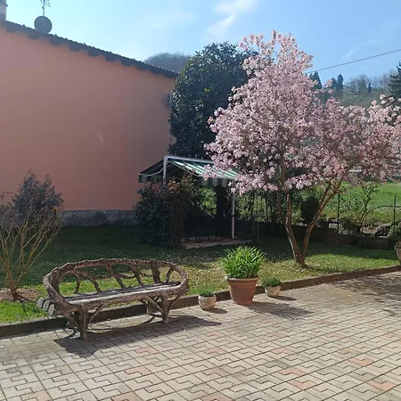 Le Magnolie Daire *