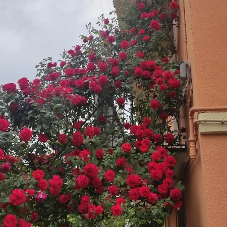 Le Magnolie Apartmán