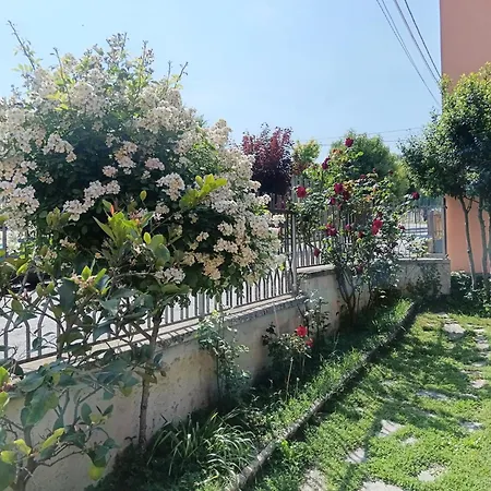 Le Magnolie