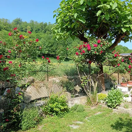 Apartmán Le Magnolie