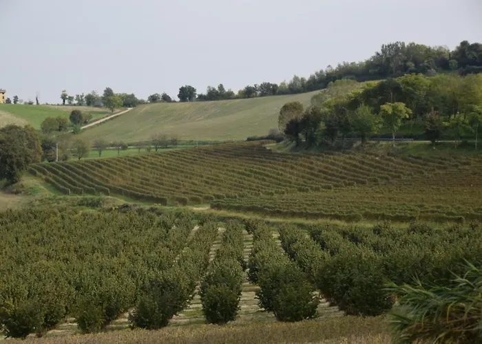 Le Magnolie Apartment Ozzano Monferrato