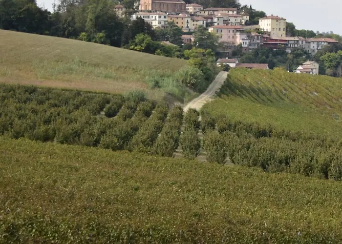 Le Magnolie Ozzano Monferrato