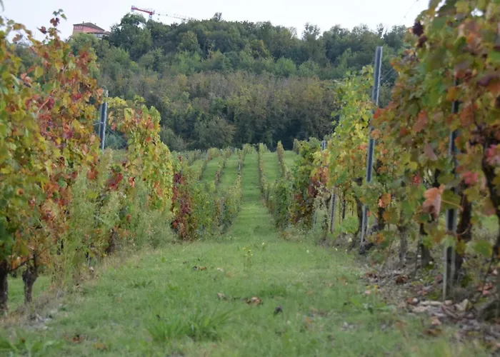 Daire Le Magnolie Ozzano Monferrato