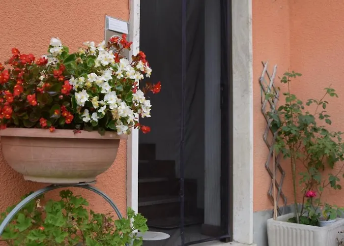 Le Magnolie Apartment *